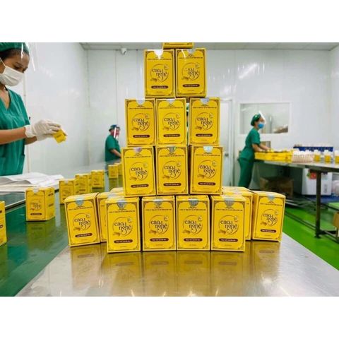 Cao Nghệ Đông Anh Collagen X3 50gr - Kem Dưỡng Da Trắng Sáng, Phục Hồi Da Chuyên Sâu, Làm Mờ Mụn, Nám, Thâm, Giúp Da Trẻ Hóa