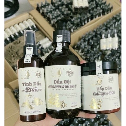 Combo 3 Chai Dầu Gội, Dầu Xả và Xịt Bồ Kết Hà Thủ Ô, Dừa Dr DIHI Hỗ Trợ Mọc Tóc, Giảm Rụng Tóc, Tóc Dài Nhanh 2024