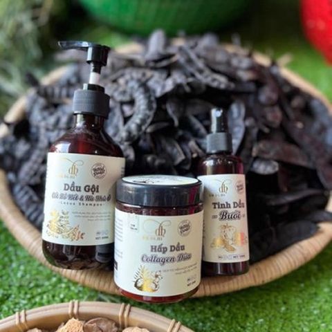 Combo 3 Chai Dầu Gội, Dầu Xả và Xịt Bồ Kết Hà Thủ Ô, Dừa Dr DIHI Hỗ Trợ Mọc Tóc, Giảm Rụng Tóc, Tóc Dài Nhanh 2024