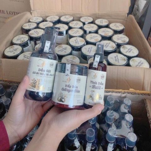 Combo 3 Chai Dầu Gội, Dầu Xả và Xịt Bồ Kết Hà Thủ Ô, Dừa Dr DIHI Hỗ Trợ Mọc Tóc, Giảm Rụng Tóc, Tóc Dài Nhanh 2024