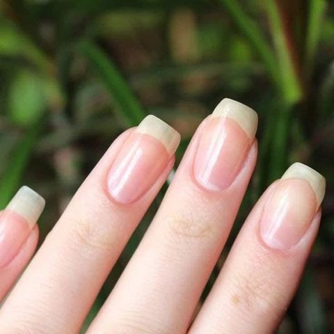 Dưỡng Móng Cứng Phục Hồi Móng Tay Chân Chắc Khỏe, Nhanh Dài & Bóng - Hũ 8gr Chăm Sóc Móng Từ Thiên Nhiên, Dầu Argan, Vitamin E