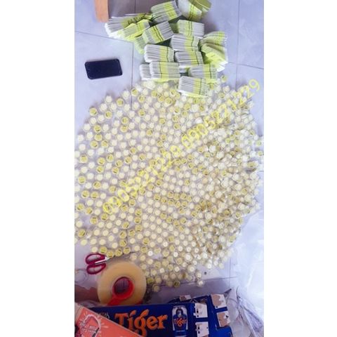 COMBO 100 Lọ Kem Khử Hôi Nách Thâm Nách Cô Bơ 8gr - Giải Pháp An Toàn, Hiệu Quả Cho Vùng Da Dưới Cánh Tay