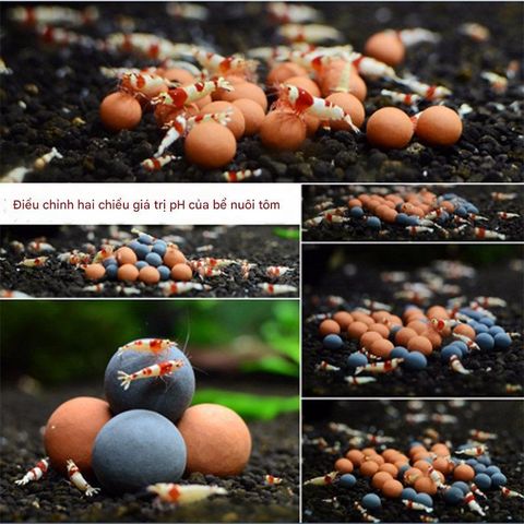 Viên Khoáng Tourmaline BeeBall - Bổ Sung Khoáng Vi Lượng Cho Bể Tép, Cải Thiện Lột Vỏ Và Màu Sắc Cá Cảnh | 200g