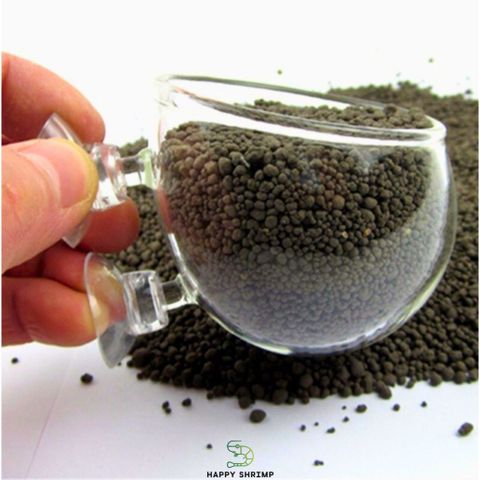 Cốc Thủy Tinh Trồng Cây - Cốc Treo Hồ Cá Thủy Sinh Sang Trọng, Thích Hợp Trồng Cây Ráy và Trầu 09