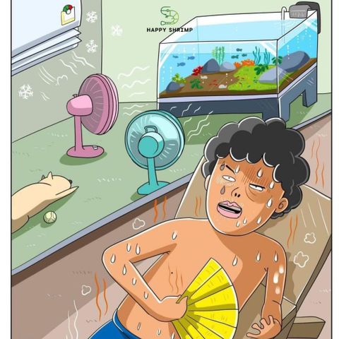 Quạt Thủy Sinh DIY Siêu Bão Happy Shrimp - Quạt Hồ Cá Siêu Mát, Siêu Êm, Hạ Nhiệt 3-4°C, Chất Lượng Cao, Tiết Kiệm Điện