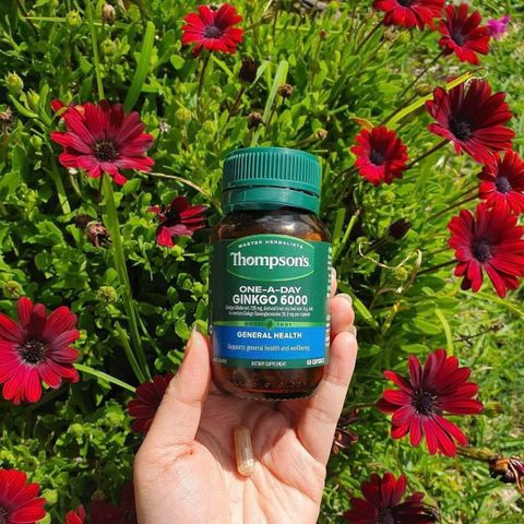 Viên uống bổ não Ginkgo Biloba 6000mg Thompson's One A Day 60 viên - Hỗ trợ tuần hoàn não, cải thiện trí nhớ và tăng cường sự tập trung