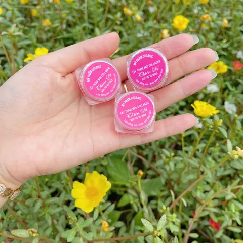 Combo 3 Hộp Son Dưỡng Môi Collagen Tẩy Thâm, Cung Cấp Độ Ẩm An Toàn, Cho Môi Sau Phun Xăm Khô Nứt Nẻ