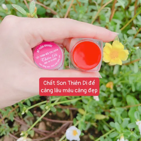 Combo 3 Hộp Son Dưỡng Môi Collagen Tẩy Thâm, Cung Cấp Độ Ẩm An Toàn, Cho Môi Sau Phun Xăm Khô Nứt Nẻ
