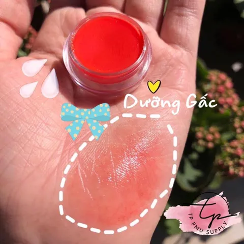 Son Dưỡng Môi Tinh Dầu Gấc & Collagen, Chống Khô, Nứt Nẻ, Giúp Môi Hồng Tự Nhiên, Loại Bỏ Thâm Môi, Dưỡng Ẩm Hiệu Quả 5g