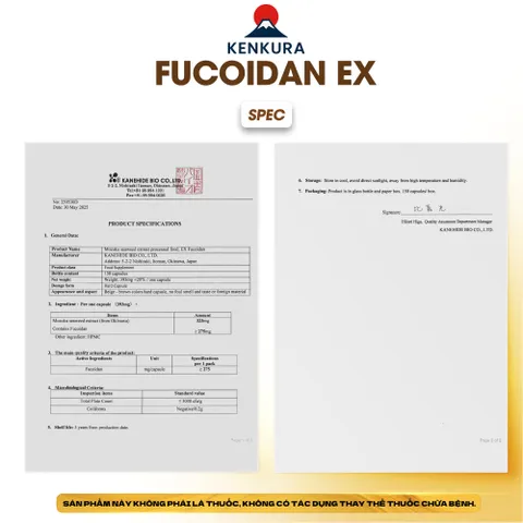 EX Fucoidan Nhật Chính Hãng Hỗ Trợ U Bướu - 150 Viên