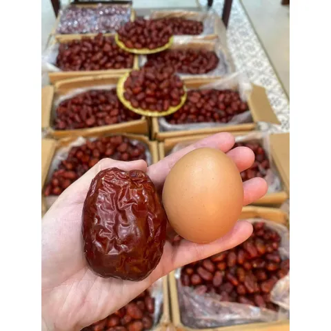 Táo đỏ Tân Cương thượng hạng Kaza sấy khô túi 1kg trái to như quả trứng 403181
