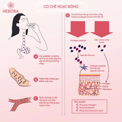 Nước Uống Collagen Hebora Enrich 500ml - Hỗ Trợ Làm Đẹp Da, Giảm Lão Hóa, Dạng Túi 28 Gói - Hàng Nhập Khẩu Nhật Bản