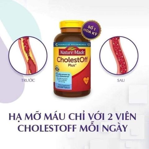 Viên Giảm Cholesterol Nature Made 210 Viên 395333