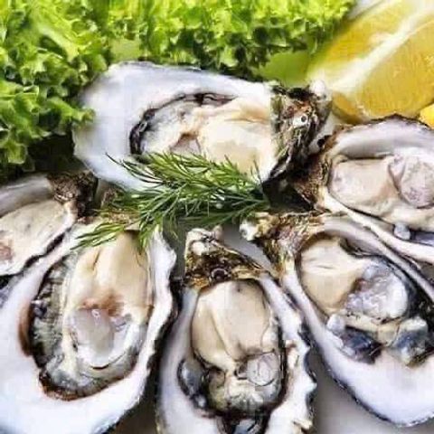 Tinh Chất Hàu Go Healthy Oyster Plus Zinc 120 Viên Chính Hãng New Zealand – Thực Phẩm Bổ Sung Kẽm & Dinh Dưỡng