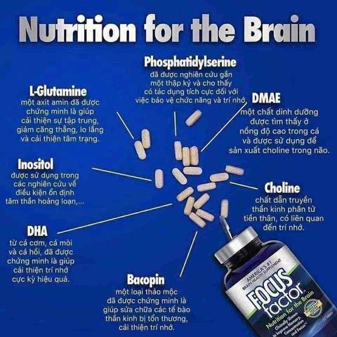 Viên Uống Focus Factor Nutrition For The Brain 180 Viên Chính Hãng USA – Thực Phẩm Bổ Sung Vitamin & Khoáng Chất