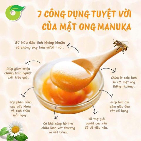 Mật ong Manuka UMF 5+ Comvita 500g, tăng sức đề kháng