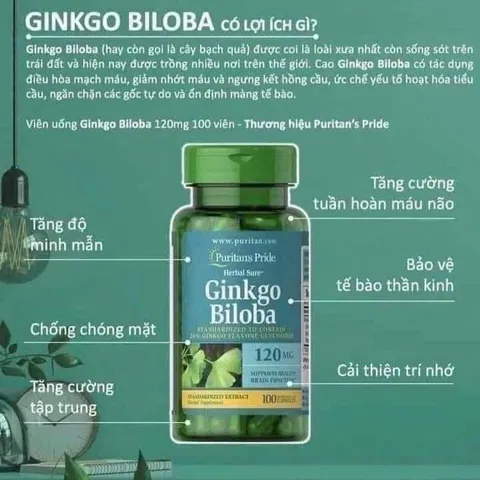Viên bổ não Ginkgo Biloba Puritan's Pride 120mg 100 viên, tăng tuần hoàn não