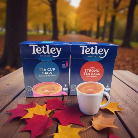 Trà Túi Lọc Tetley - Hương Vị Thanh Nhẹ, Hộp 100 Gói, Trà Uống Nguyên Chất, Tiện Lợi và Đơn Giản cho Cuộc Sống Hiện Đại