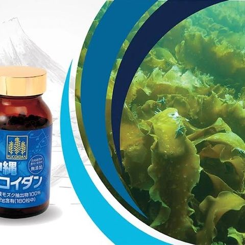 Tảo Fucoidan Okinawa Xanh Chính Hãng Nhật Bản - Hỗ Trợ U Bướu, Tăng Cường Miễn Dịch, 180 Viên
