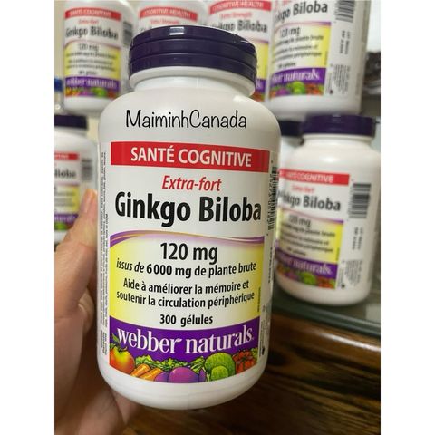 Viên hoạt huyết dưỡng não Ginkgo Biloba 120mg (hộp 300 viên) date 2029 405843