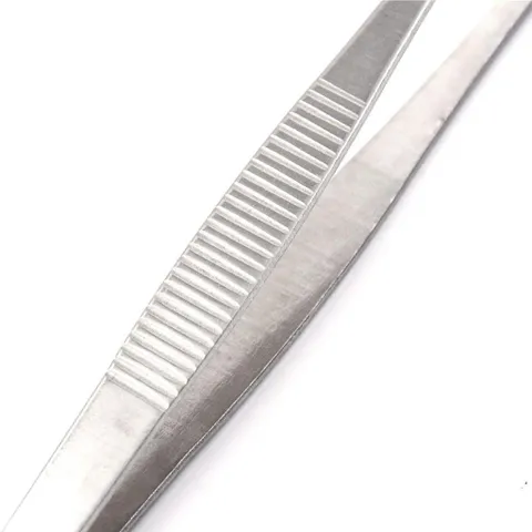 Nhíp Gắp Đồ Decor Bar Thép Không Gỉ 25cm - Dụng Cụ Trang Trí Cốc Đồ Uống Sang Trọng, Gắp Trái Cây, Phù Hợp Mọi Sự Kiện