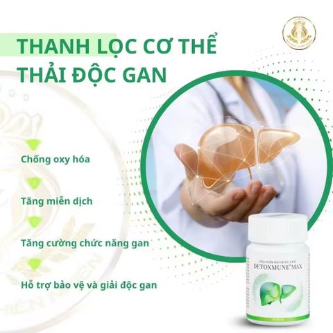 Combo Detox Thải Độc Cơ Thể - Nước Hydrogen Quantum & Detoxmune Giải Rượu Bia, Hỗ Trợ Mát Gan & Thanh Lọc Cơ Thể