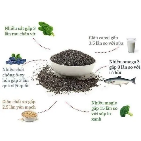 (HÀNG CHÍNH HÃNG MỸ) HẠT CHIA HỮU CƠ ORGANIC CHIA SEEDS NATURE’S INTENT Túi 1.36kg