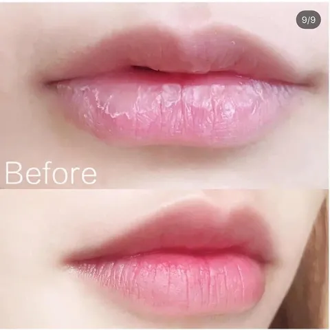 Son Dưỡng DHC Color Lip Cream - Dưỡng Ẩm Làm Mềm Môi, Giảm Thâm, Ngăn Ngừa Lão Hóa - Hàng Chính Hãng Nhật Bản