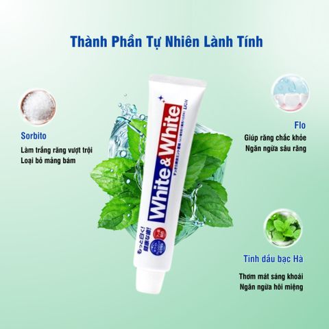 Kem Đánh Răng White & White LION 150g - Nhật Bản Chính Hãng, Trắng Răng Sạch Sâu, Ngừa Sâu Răng, Hương Bạc Hà Mát Lạnh