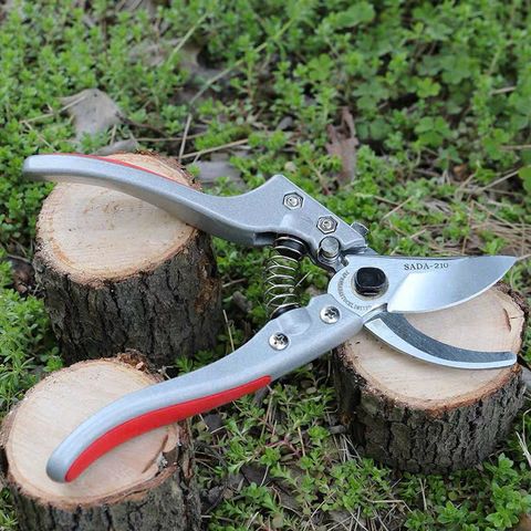 Kéo Cắt Tỉa Hoa Mũi Bầu 18cm Cao Cấp - Kéo Cắt Cành Thép Không Gỉ, Dễ Sử Dụng Cho Lễ Hội Hoa Tươi
