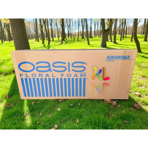 Viên xốp cắm hoa tươi Oasis loại 1 - Phụ kiện trang trí floral cho hoa tươi, hoa sáp, kích thước 23x11x7.5cm