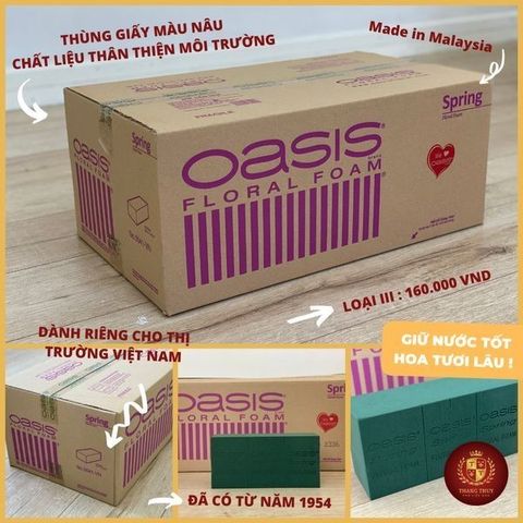 Xốp Xanh Cắm Hoa Tươi Oasis Malaysia - Mút Xốp Giữ Nước Lâu Cho Hoa Sáp, Thiết Kế Thân Thiện Với Môi Trường