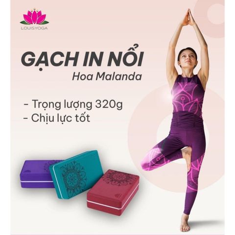 Gạch Tập Yoga NDA Cao Cấp 320gr - Hỗ Trợ Tư Thế Yoga, Dụng Cụ Thể Dục Thiết Yếu Cho Người Yêu Thích Yoga