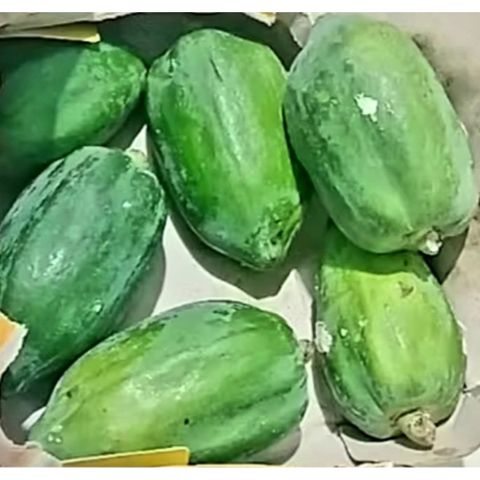Đu Đủ Xanh Tươi Nhà Trồng 1kg - Thực Phẩm Tự Nhiên Hỗ Trợ Tiêu Hóa và Tăng Cường Miễn Dịch