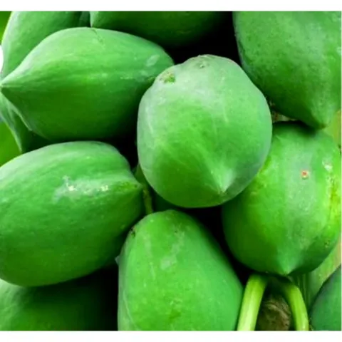 Đu Đủ Xanh Tươi Nhà Trồng 1kg - Thực Phẩm Tự Nhiên Hỗ Trợ Tiêu Hóa và Tăng Cường Miễn Dịch