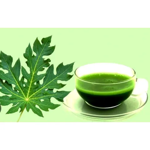 Lá Đu Đủ Tươi 1kg - Hỗ Trợ Tiêu Hóa, Tăng Tiểu Cầu, Làm Đẹp Da, Tăng Cường Sức Khỏe Tóc, Hỗ Trợ Miễn Dịch