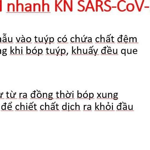 Que Test Nhanh Covid-19 Onsite Tại Nhà - Bộ Xét Nghiệm Kháng Nguyên SARS-CoV-2, 20 Test/Hộp, Kết Quả Trong 15 Phút