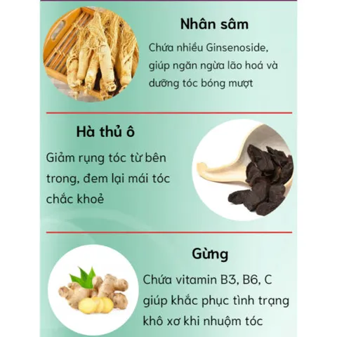 Dầu Gội Phủ Bạc Plant Extract - Nuôi Dưỡng Tóc Tự Nhiên, Màu Sắc Bền Đẹp, 300ml, Không Chứa Hóa Chất Độc Hại