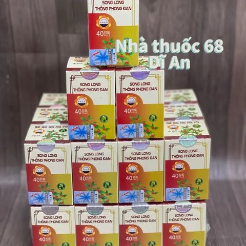 Viên Uống Hỗ Trợ Xương Khớp Song Long Thống Phong Đan - Giảm Đau Nhức, Tê Mỏi, Dễ Dàng Vận Động - Hàng 2 Tem Chính Hãng