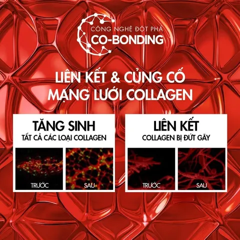 Kem dưỡng hỗ trợ săn chắc da Vichy LiftActiv Collagen Specialist