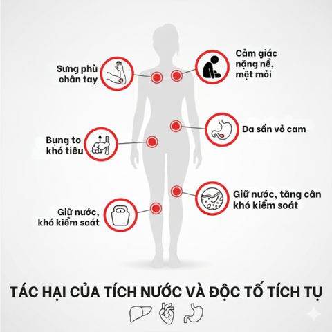 Viên uống Hydromin OFF hỗ trợ giảm tích nước thanh lọc cơ thể 30 viên
