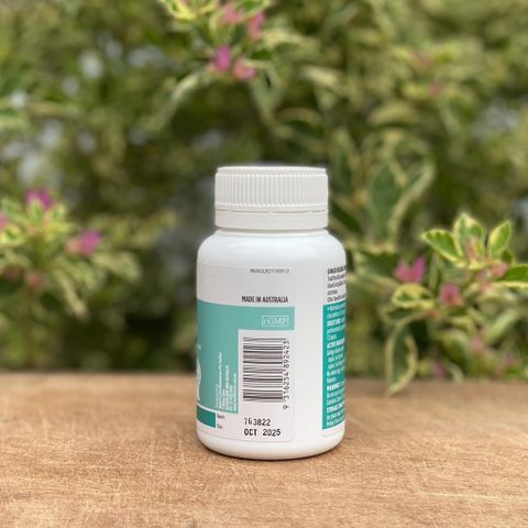Viên uống bổ não Healthy Care Ginkgo Biloba 2000mg - Tăng tuần hoàn, cải thiện trí nhớ, giảm stress, hỗ trợ tỉnh táo và minh mẫn