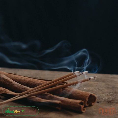 Nhang Quế Thông Noom - Nhang Tự Nhiên Không Hóa Chất Giúp Thư Giãn và Thanh Lọc Không Khí - 50g, 300g
