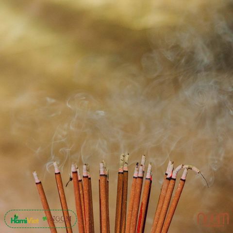 Nhang Quế Thông Noom - Nhang Tự Nhiên Không Hóa Chất Giúp Thư Giãn và Thanh Lọc Không Khí - 50g, 300g
