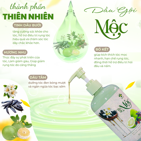 [MUA 1 TẶNG 1] Dầu Gội MỘC Thiên Nhiên 500ML - Chăm Sóc Tóc Suôn Mượt, Hỗ Trợ Mọc Tóc - Chiết Xuất Bưởi, Bồ Kết, Hương Nhu, Dâu Tằm