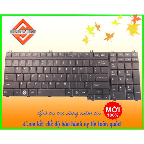 Bàn Phím Thay Thế Laptop Toshiba Satellite L500D L505D L550D L555D P200D - Thiết Bị Số Chất Lượng Cao, Bảo Hành 09 Tháng