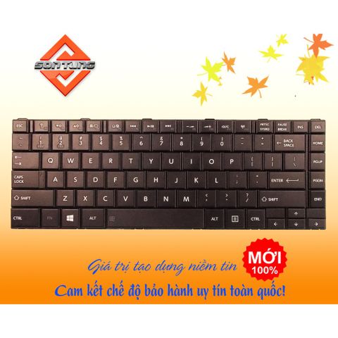 Bàn Phím Laptop Toshiba C845 C840 L835 L840 L840D L845 L845D C700 C800 Nhập Khẩu - Chất Lượng Cao, Đổi Mới 09 Tháng