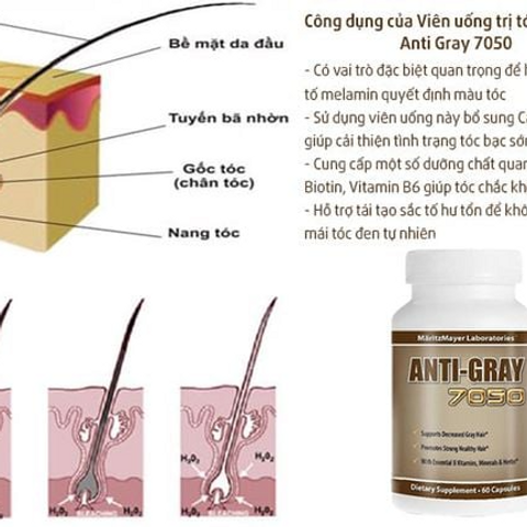 Viên uống cải thiện tóc bạc sớm Anti Gray Hair 7050 - Dưỡng chất phục hồi màu tóc tự nhiên, bảo vệ và làm mềm mượt tóc