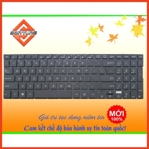 Bàn Phím Laptop ASUS TP500 TP500L TP500LA TP500LB TP500LN US - Phụ Kiện Thiết Bị Số Chính Hãng, Thay Thế Chất Lượng Cao