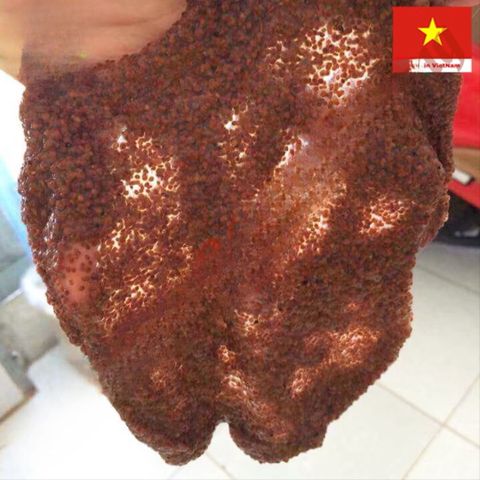 Bình Lịch Mặt Nạ Hút Cùi Mụn - Giảm Thâm, Sẹo Tự Nhiên 100g - Sản Phẩm Làm Đẹp Da Chất Lượng Cao